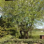 Treehouse Escape Campingplatz *