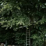 Treehouse Escape Campingplatz