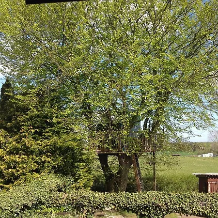 Treehouse Escape Campsite *