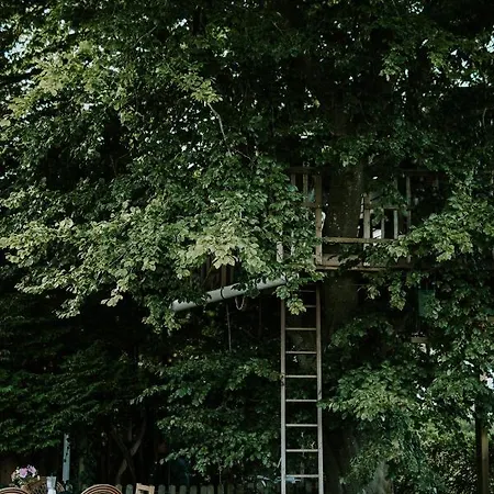 Treehouse Escape Camping