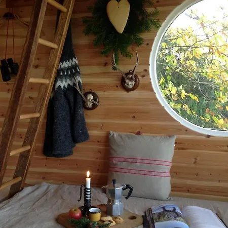 Treehouse Escape