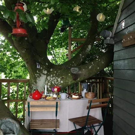 Campingplads Treehouse Escape