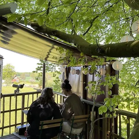 Campingplads Treehouse Escape