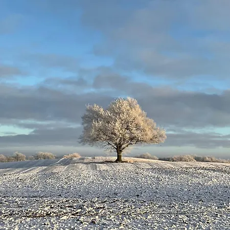 Treehouse Escape * Kvaerndrup