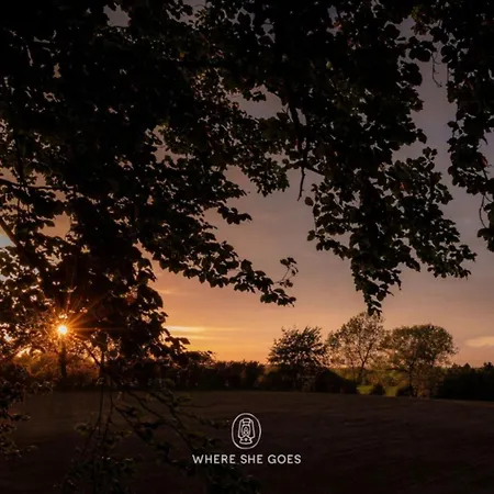 Treehouse Escape Campingplads *