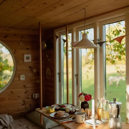 Treehouse Escape Camping