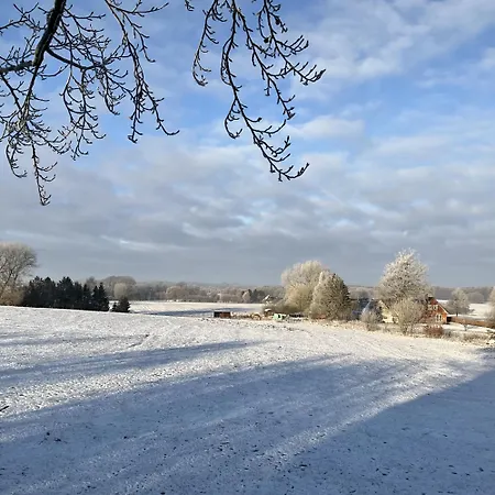 Κάμπινγκ Treehouse Escape *