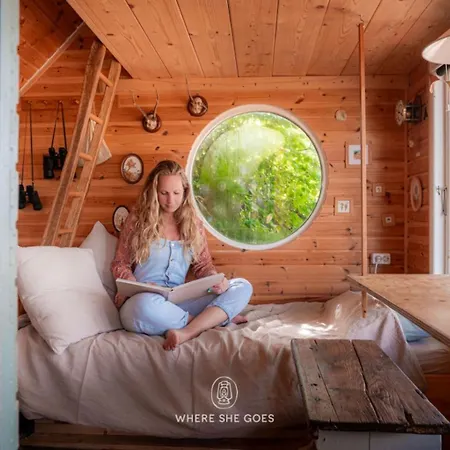 Campingplads Treehouse Escape Kvaerndrup