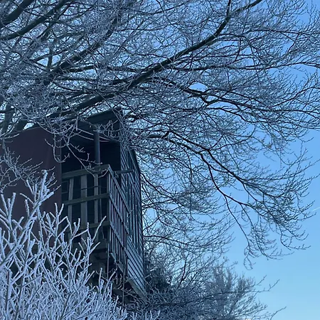 Treehouse Escape Campsite Kvaerndrup