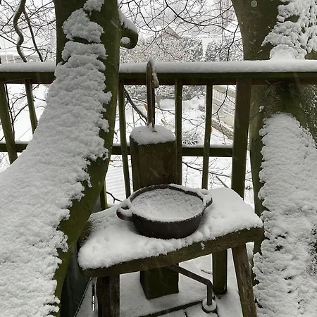 Treehouse Escape *