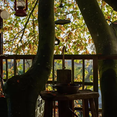 Treehouse Escape Campsite *