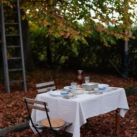 Campsite Treehouse Escape *