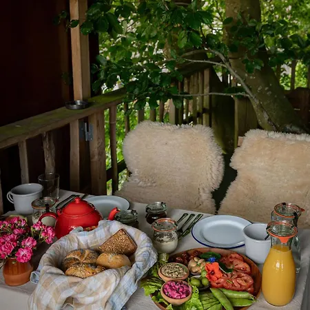 Camping Treehouse Escape