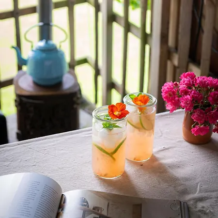 Treehouse Escape * Kvaerndrup