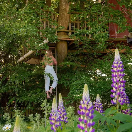 Treehouse Escape Camping