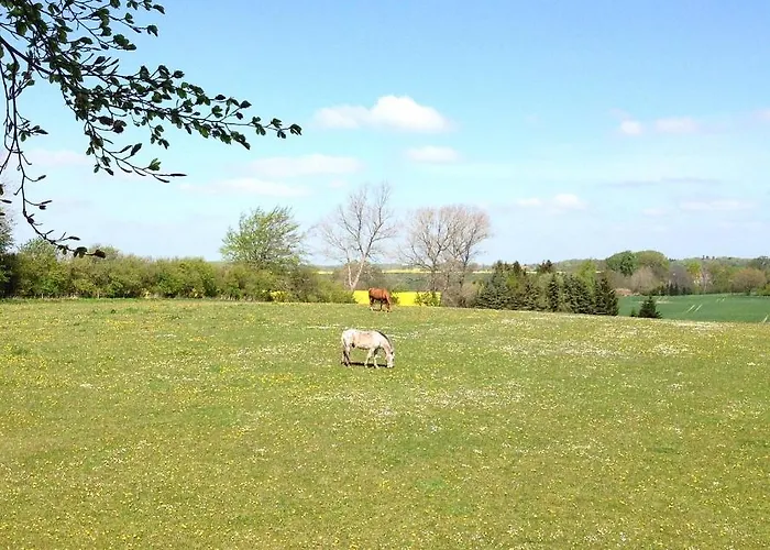 Κάμπινγκ Treehouse Escape Kvaerndrup