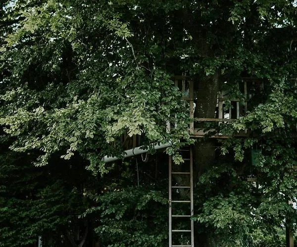 Treehouse Escape Κάμπινγκ