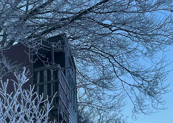 Treehouse Escape Κάμπινγκ Kvaerndrup