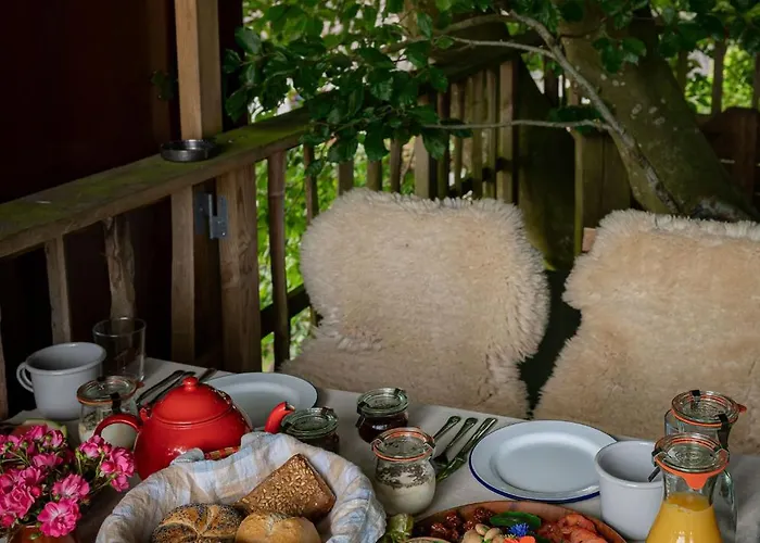 Κάμπινγκ Treehouse Escape